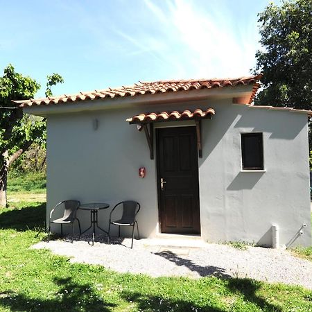 Camping & Bungalows Castle View Μυστράς Εξωτερικό φωτογραφία