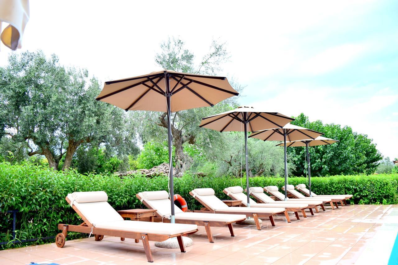 Camping & Bungalows Castle View Μυστράς Εξωτερικό φωτογραφία